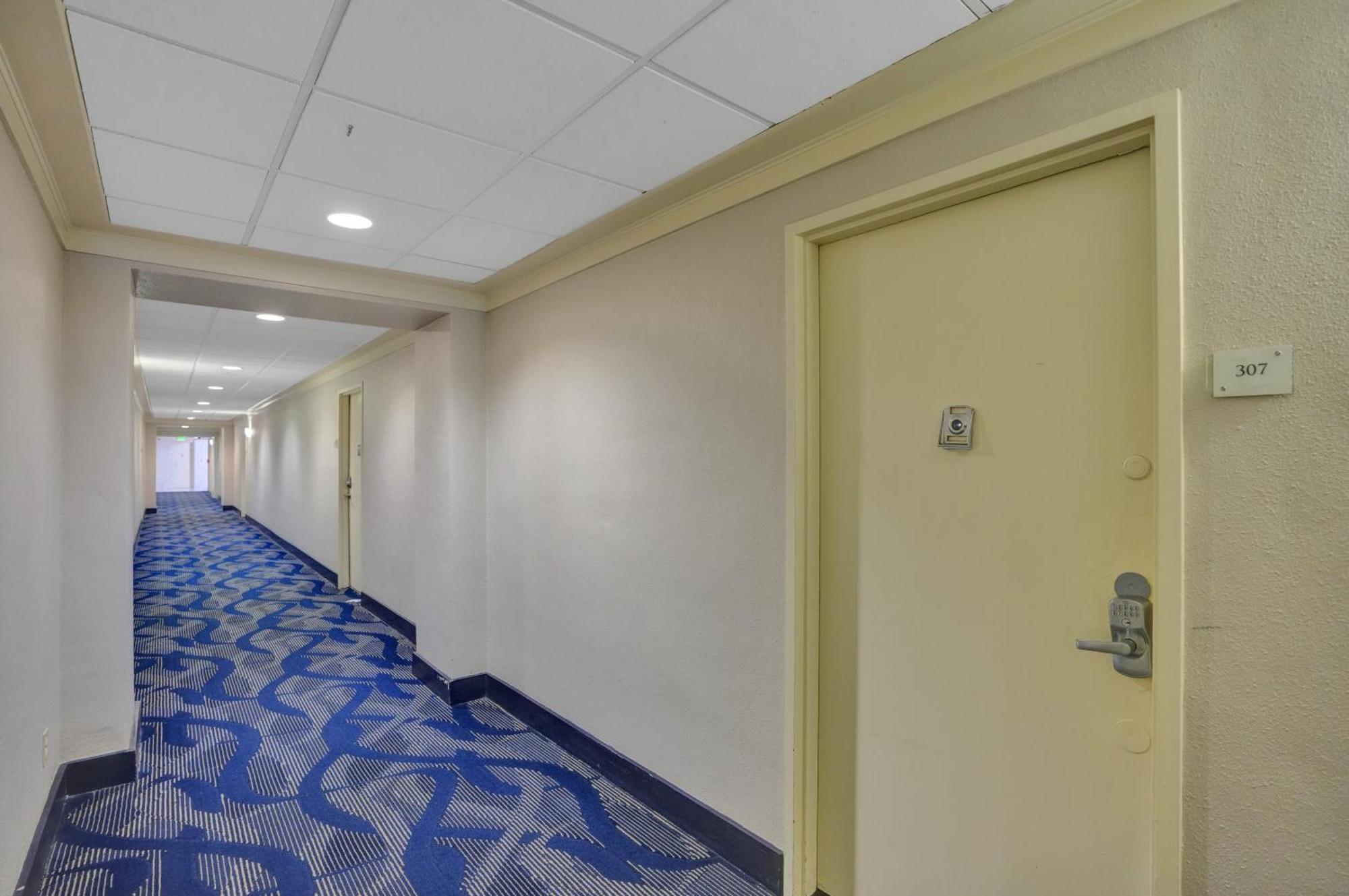 Ocean Reserve Luxury Condos Across From Sunny Isles Beach Μαϊάμι Μπιτς Εξωτερικό φωτογραφία
